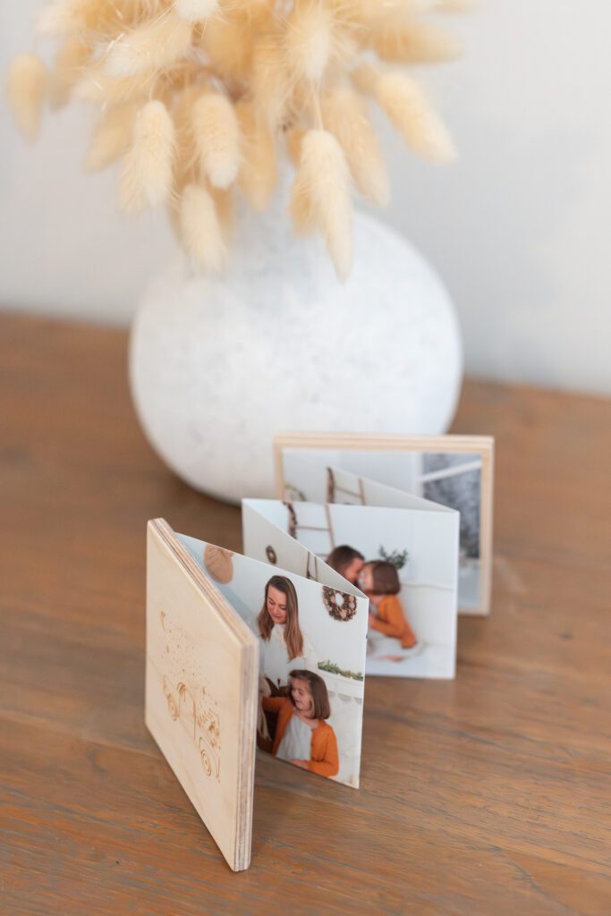 accordeonphoto-shirleylamphotographe